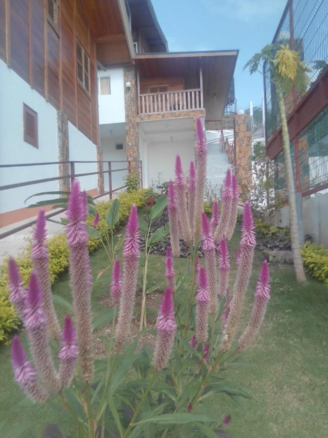 Domus Guesthouse Sant'Ana Exterior foto